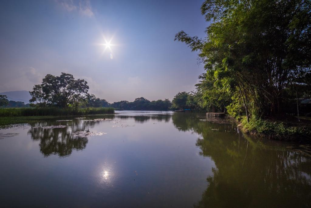 Mps Village Dambulla Exteriér fotografie