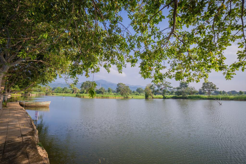 Mps Village Dambulla Exteriér fotografie