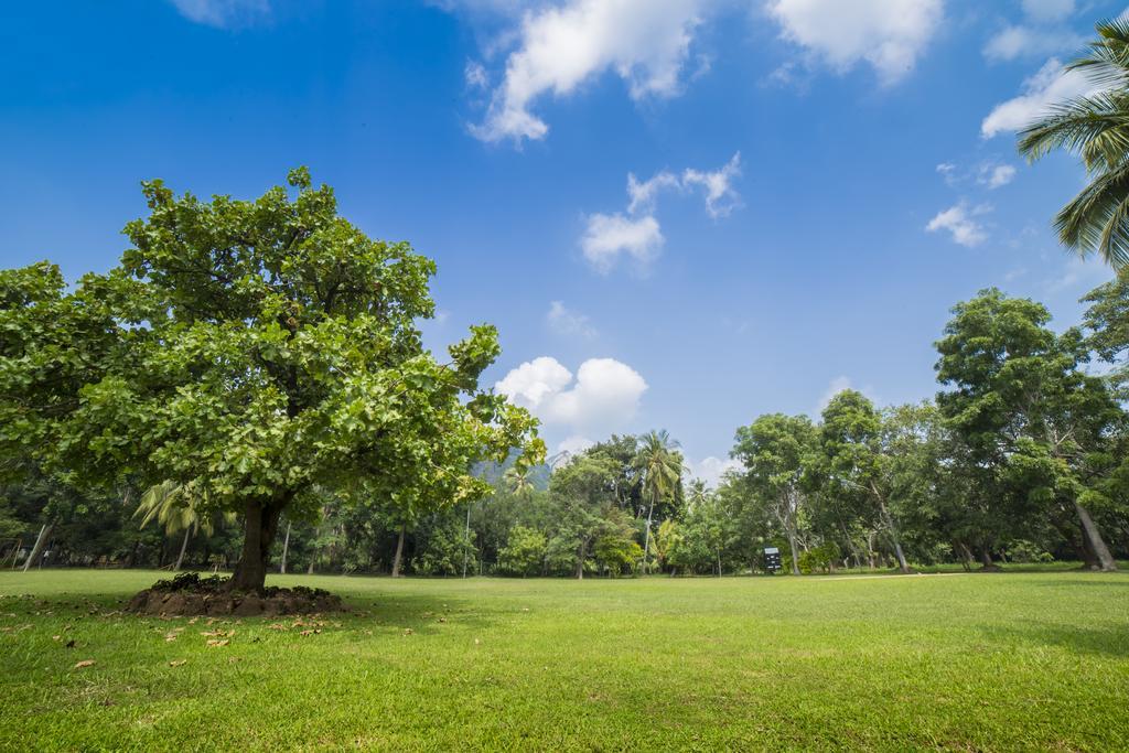 Mps Village Dambulla Exteriér fotografie